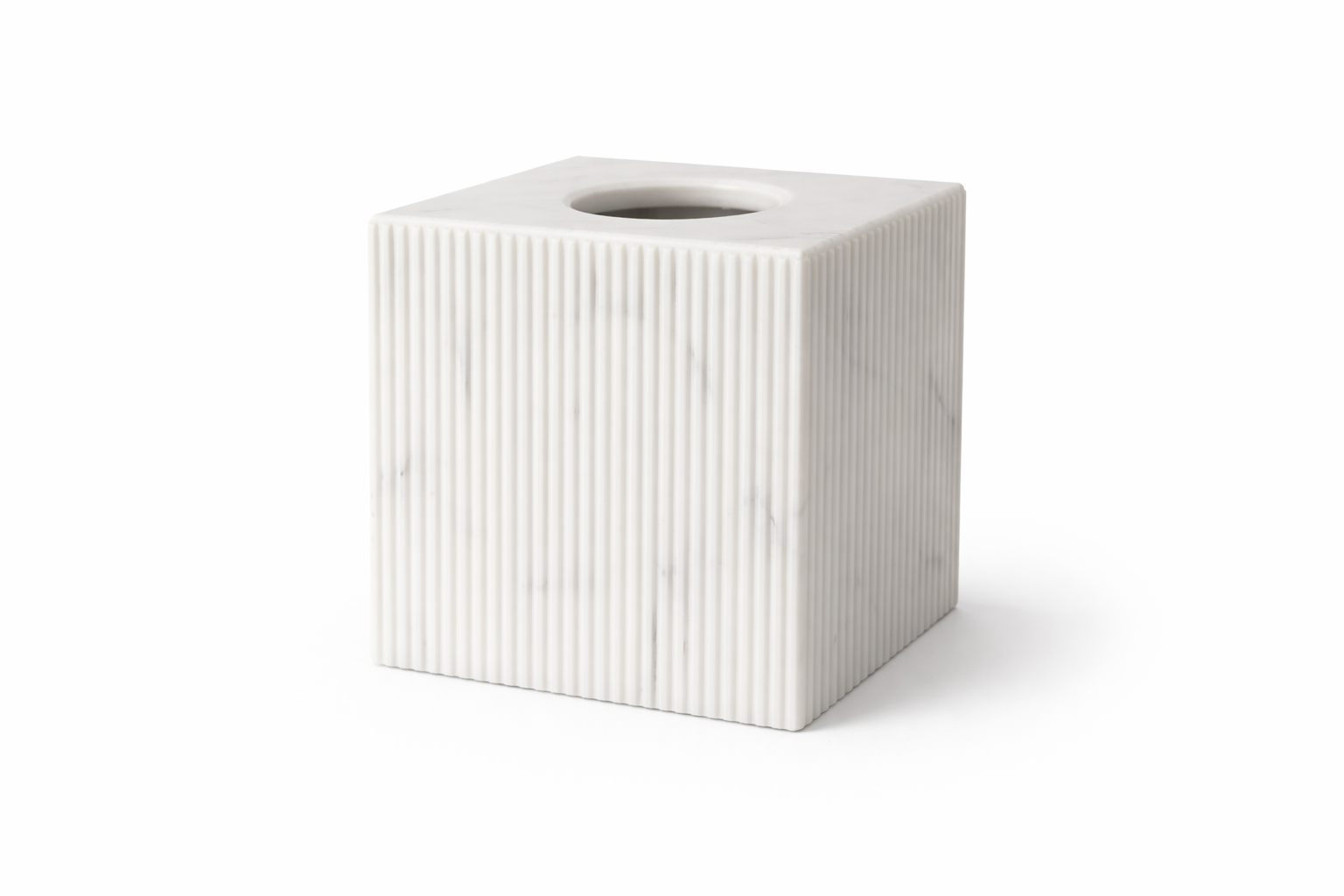 Tissue Holder
