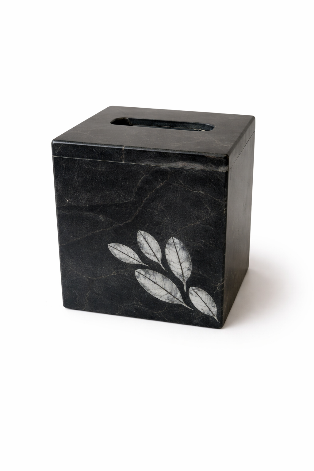 Tissue Holder